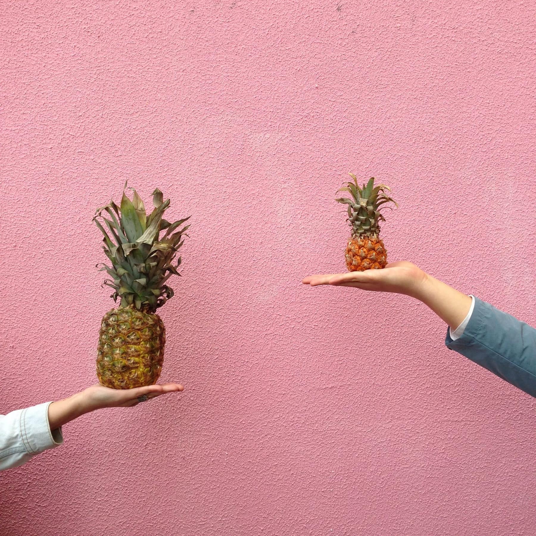 Two hands against a pink wall, one holding a large pineapple, the other a much smaller one